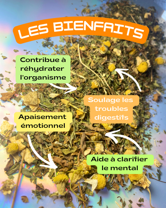 PRÉCOMMANDE - Au bout du rouleau